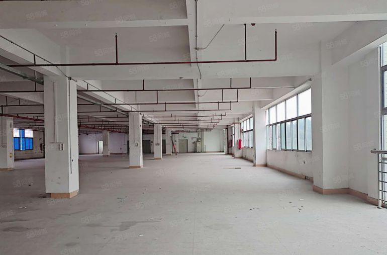 石岩塘头工业区楼上1000平标准厂房出租仓库招租300平起租