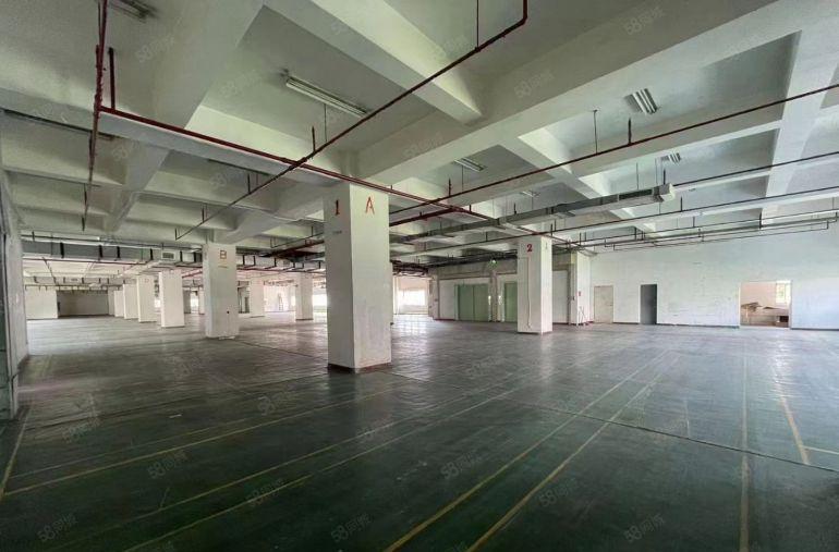 西乡固戍厂房仓库1000平出租可办环评空地大107国道边