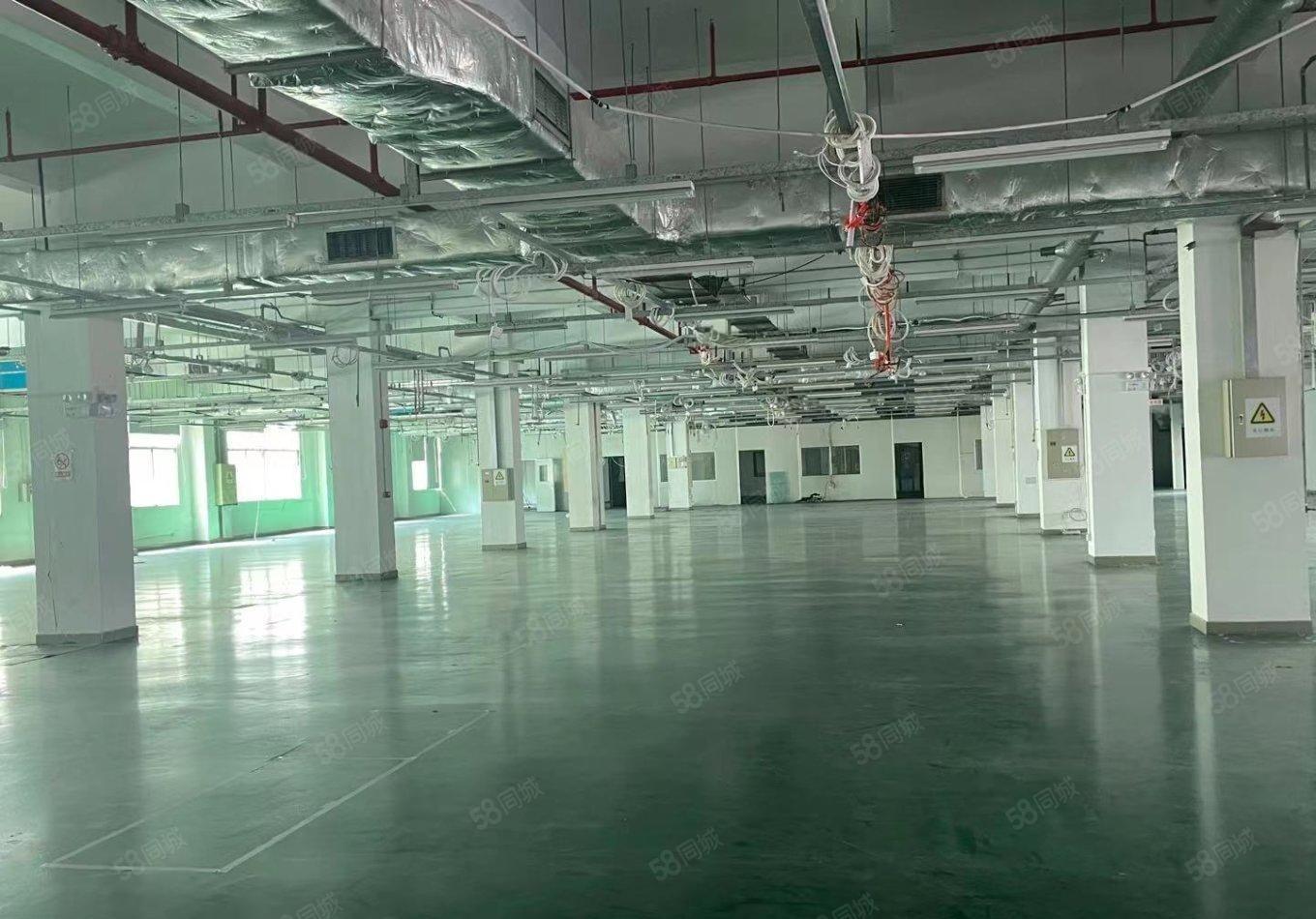 300平起分福永2000平厂房一二楼仓库出租24元起可办环评