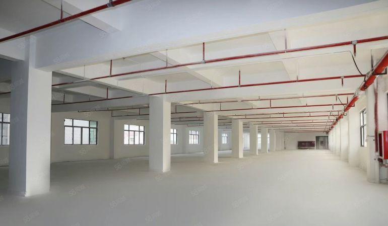 西乡固戍大型科技园厂房728平5600平1至7楼大小可分租