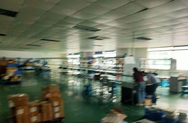 福永原房东1000平带装修厂房出租可分租