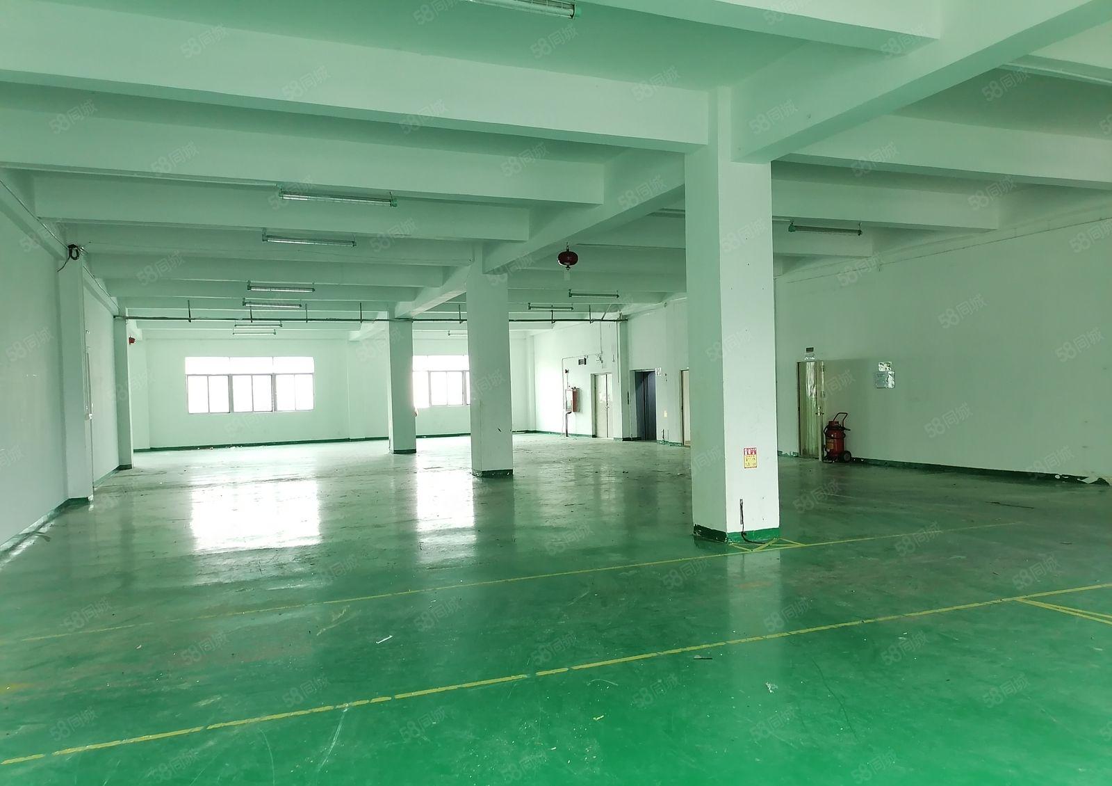 沙井独栋三楼2400平方出租可分租