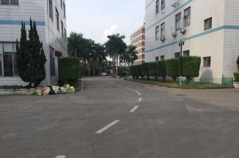 宝安福永107国道厂房500平至2000平仓库出租大小可分租