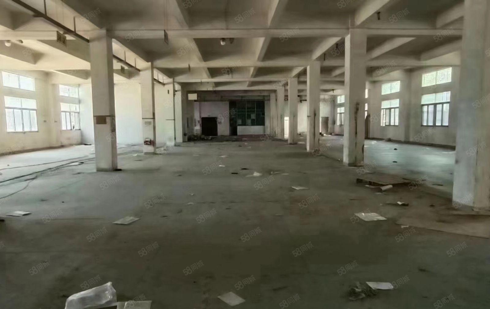 松岗塘下涌新出独门独院厂房一楼整层1850平方空地超大