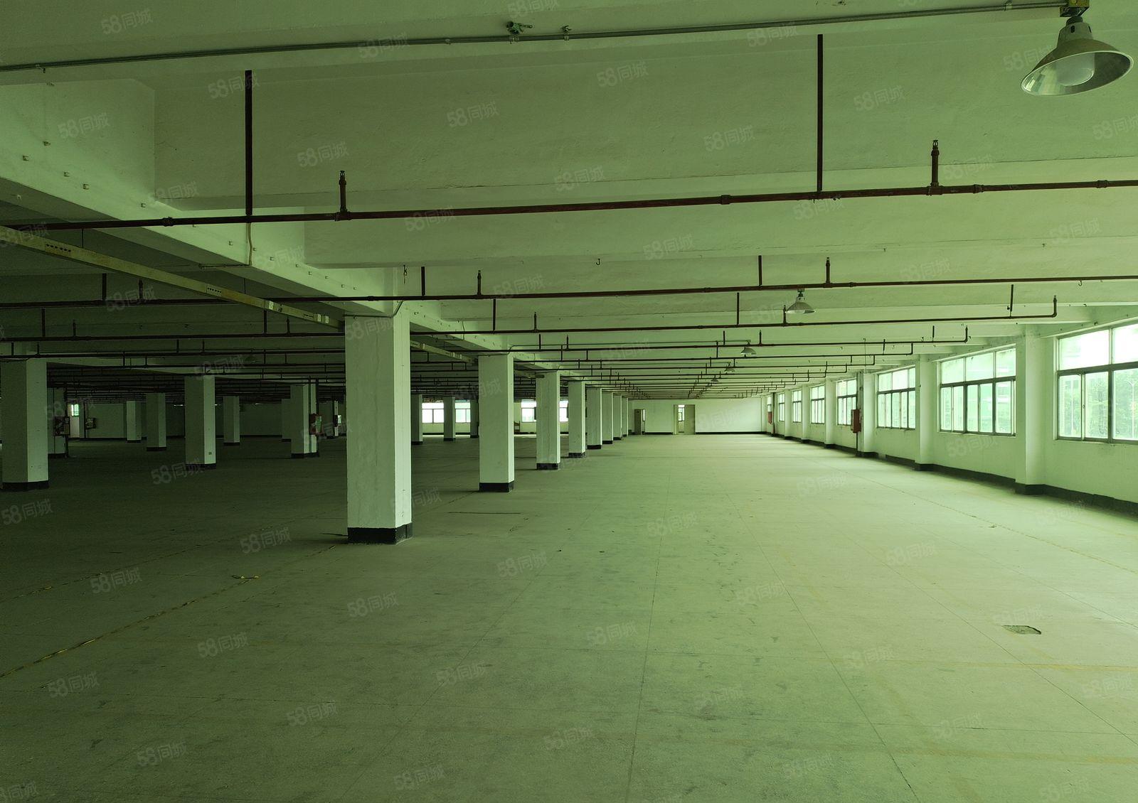 福海盛和兴工业园厂房仓库出租