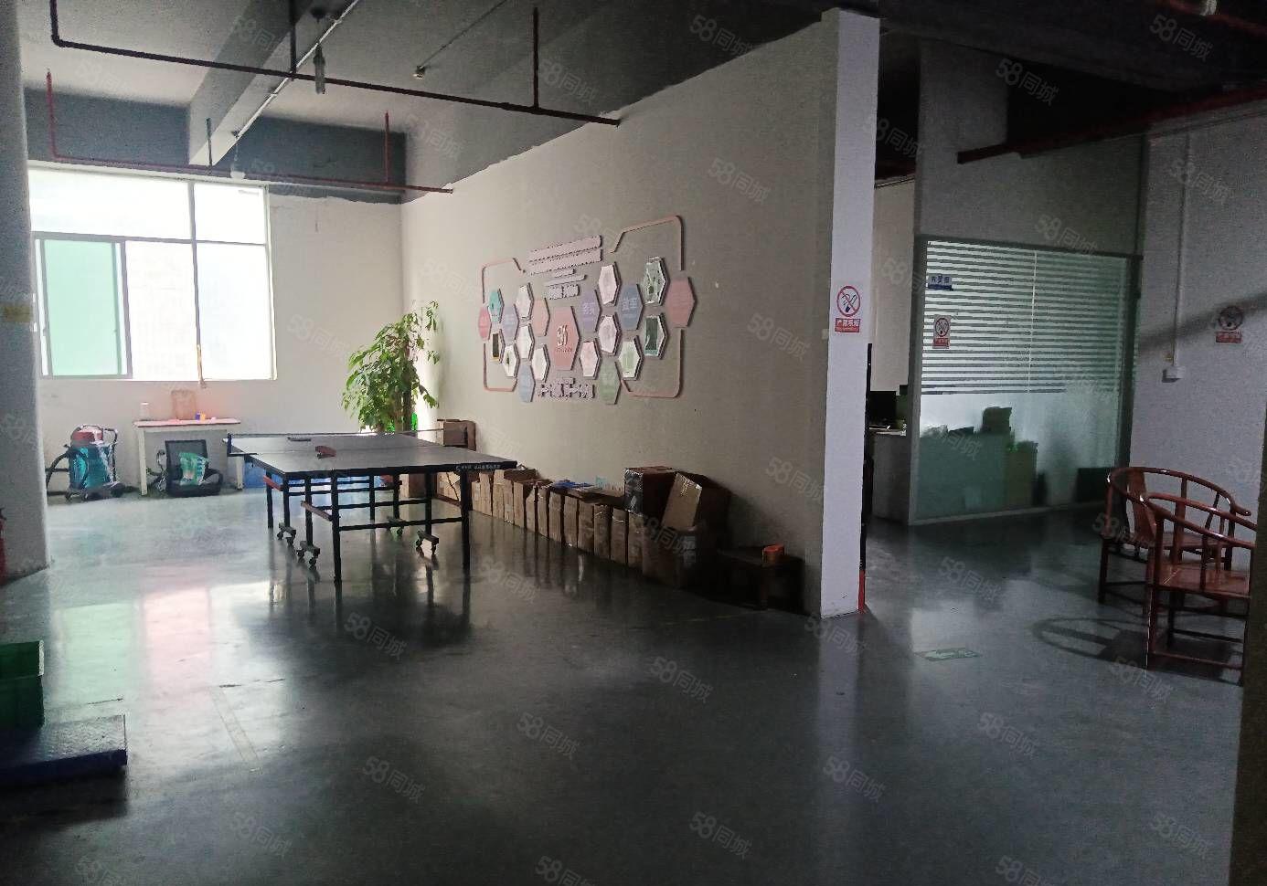 石岩外环新出厂房楼上13000平方现有前台办公室装修