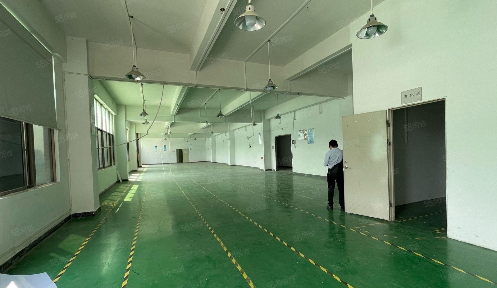 石岩原房东工业园2000平方可分租500平方起仓库厂房出租