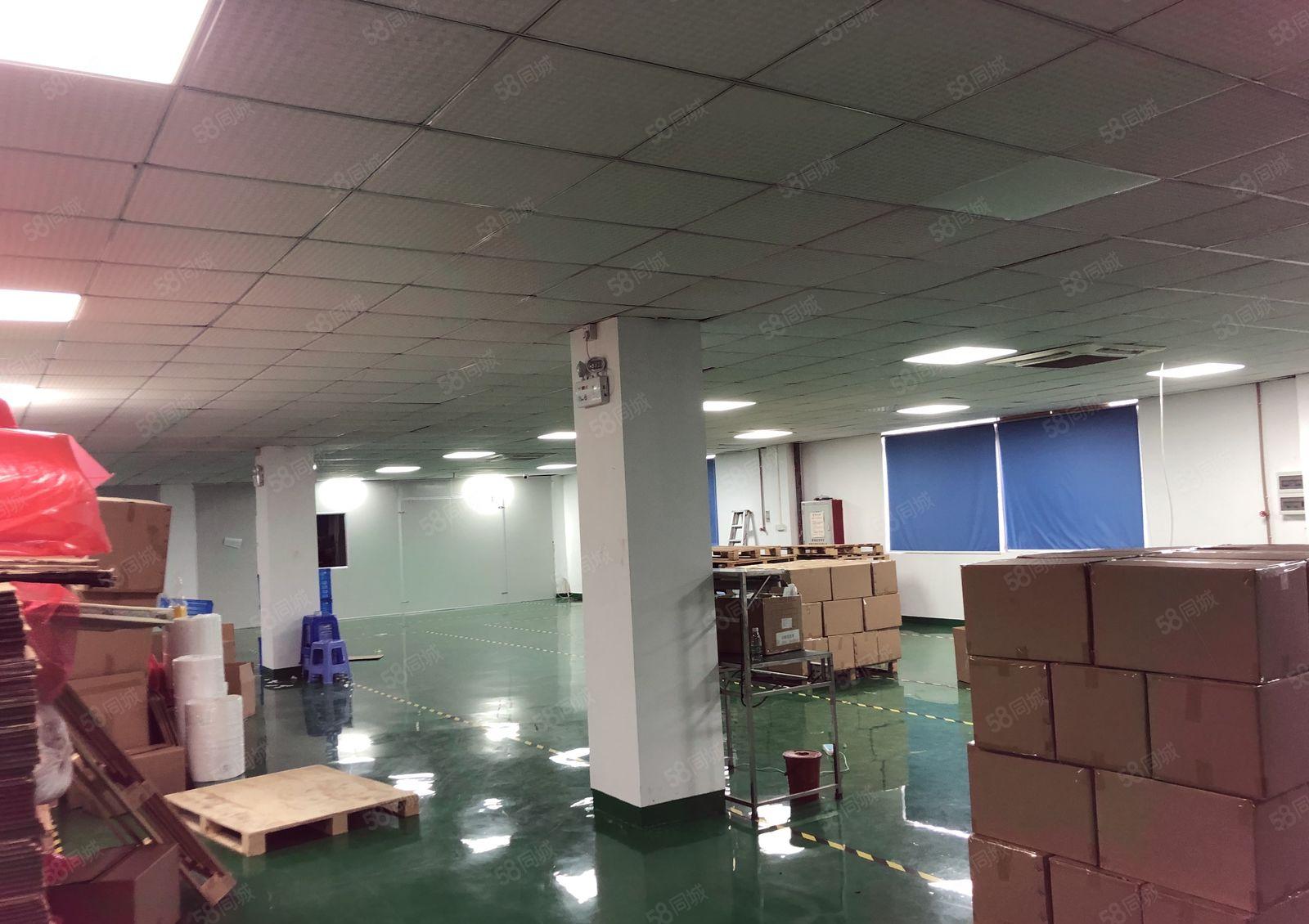 沙井地铁口附近800平米带装修厂房出租分租仓库独院厂房