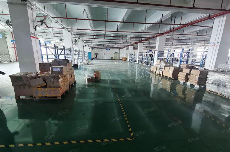 沙井大型工业园区厂房出租整租分租均可