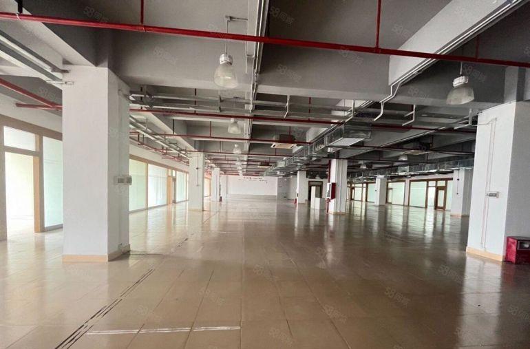 石岩汽车站独院8000平带装修厂房出租可分原房东一楼仓库出租