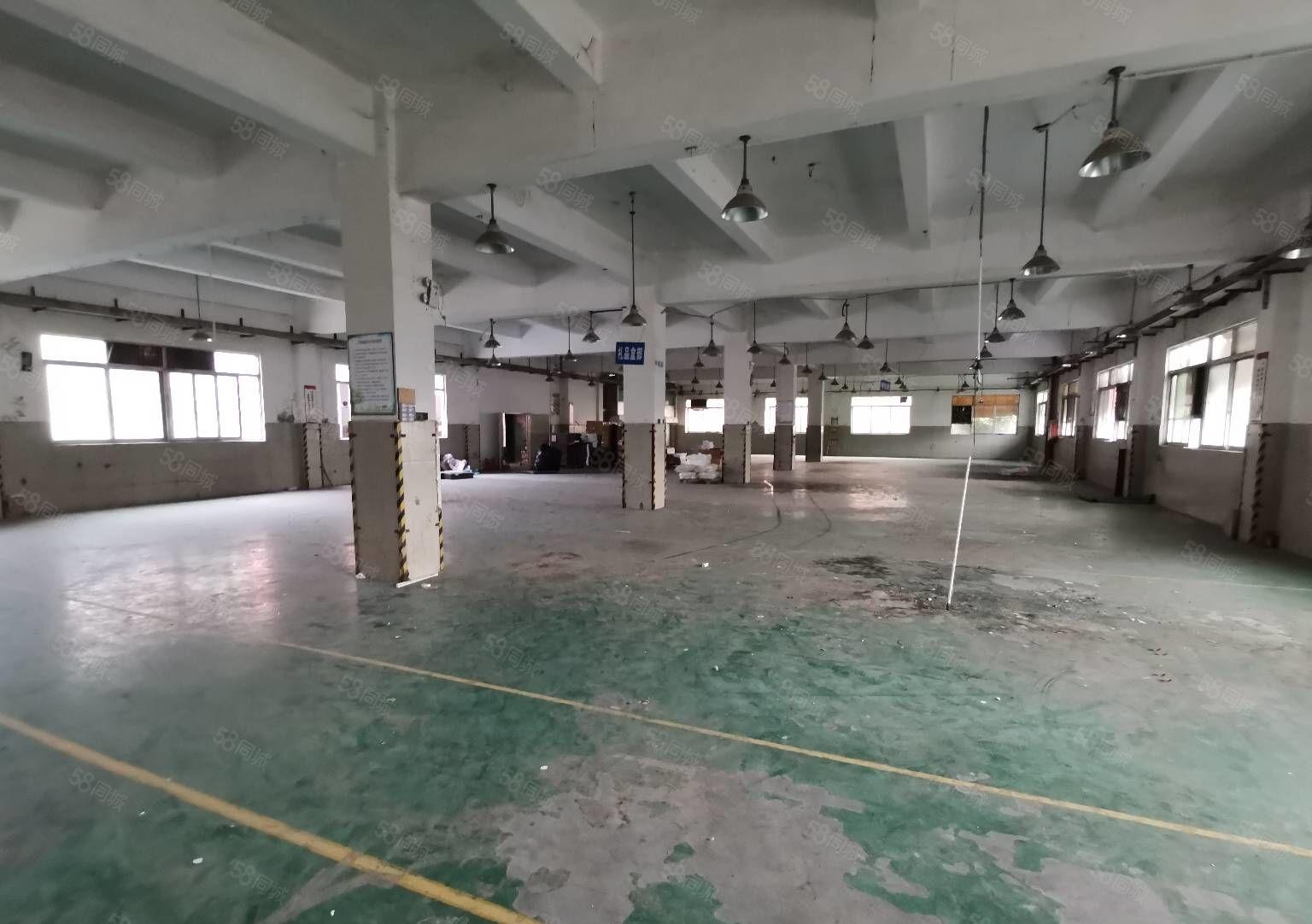 西乡洲石路旁独院分租一楼300平快递物流仓储可进出17米拖头