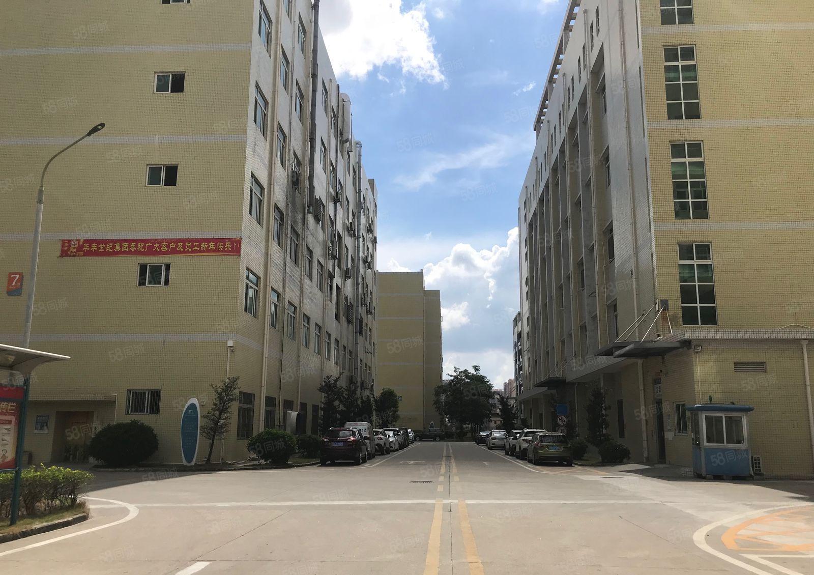 24元起租松岗工业园原房东红本500平方2000平厂房出租