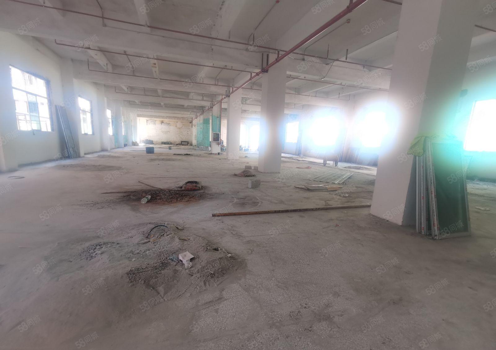 固戍独门独院厂房4450平 优先国家高新 科技型 规上企业