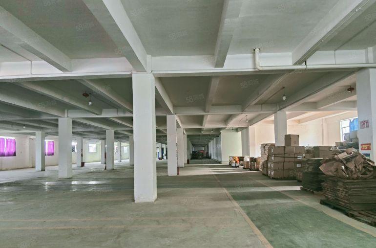 25元每平红本面积整层5000平可分租大型货车出入无忧