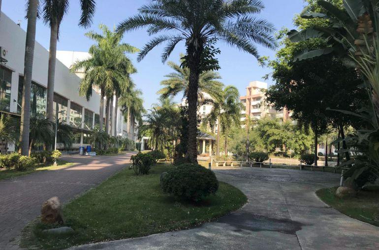 石岩花园式红本厂房一楼4280平方出租，楼上4280平方可看