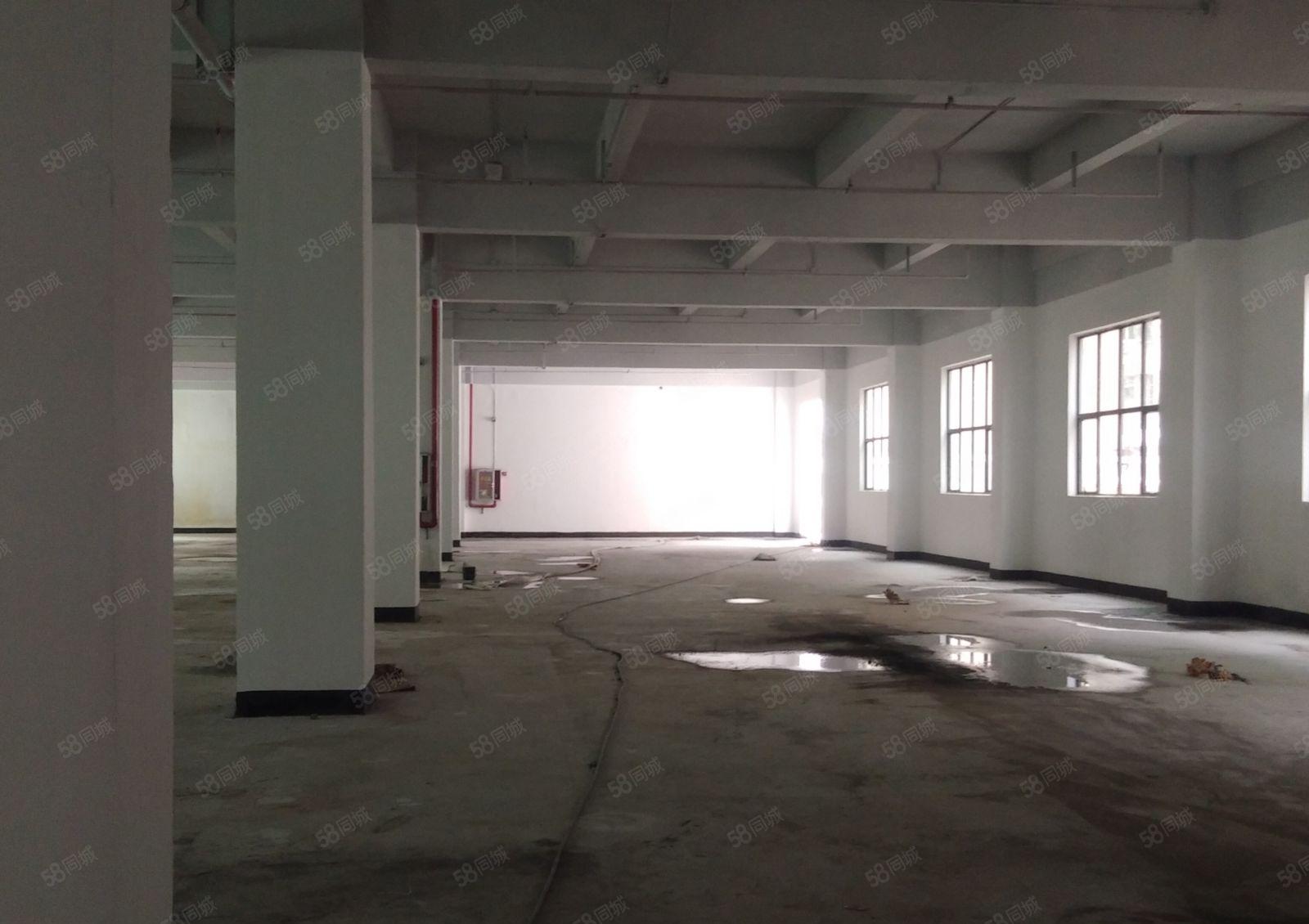 固戌地铁口独门独院整栋4556平，可单租一层1139平