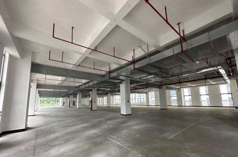 石岩塘头工业园原房东厂房独院一楼1000平起分租可做生产仓库