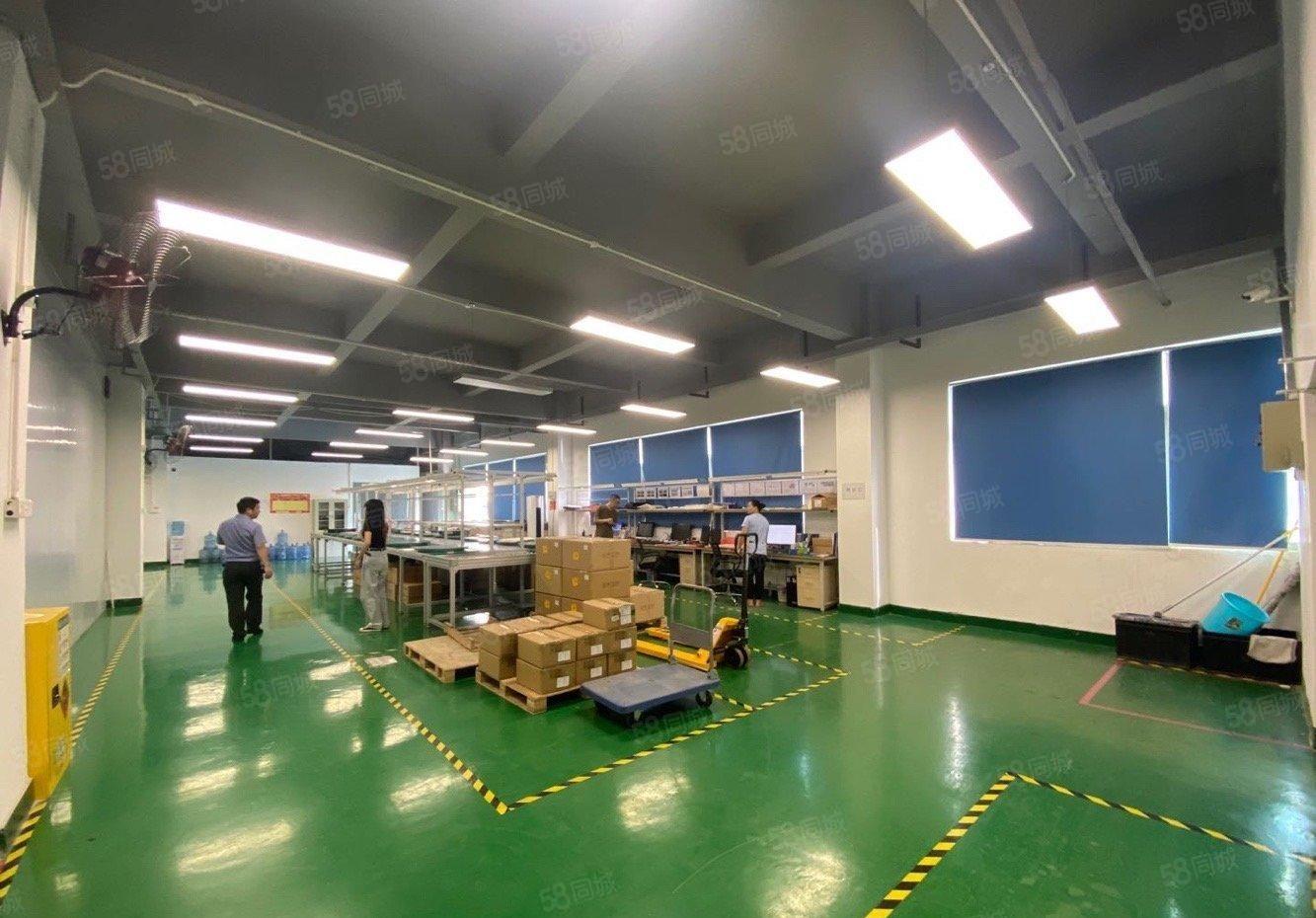 沙井高新园区1000平原房东精装一楼二楼仓库出租红本厂房出租