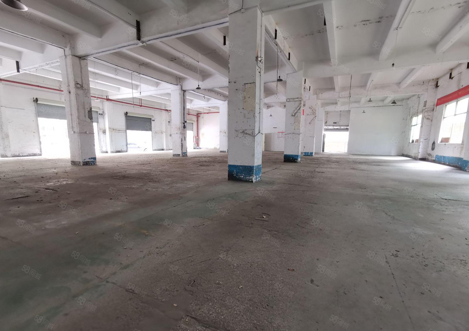 宝安固戍一楼厂房1300平米 带3个办公室 租45元