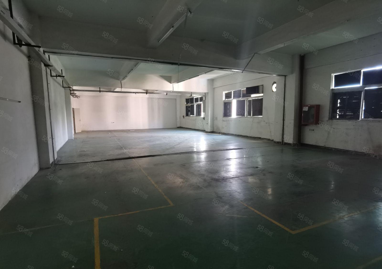 宝安石岩新出整层带红本厂房3700平，现成装修