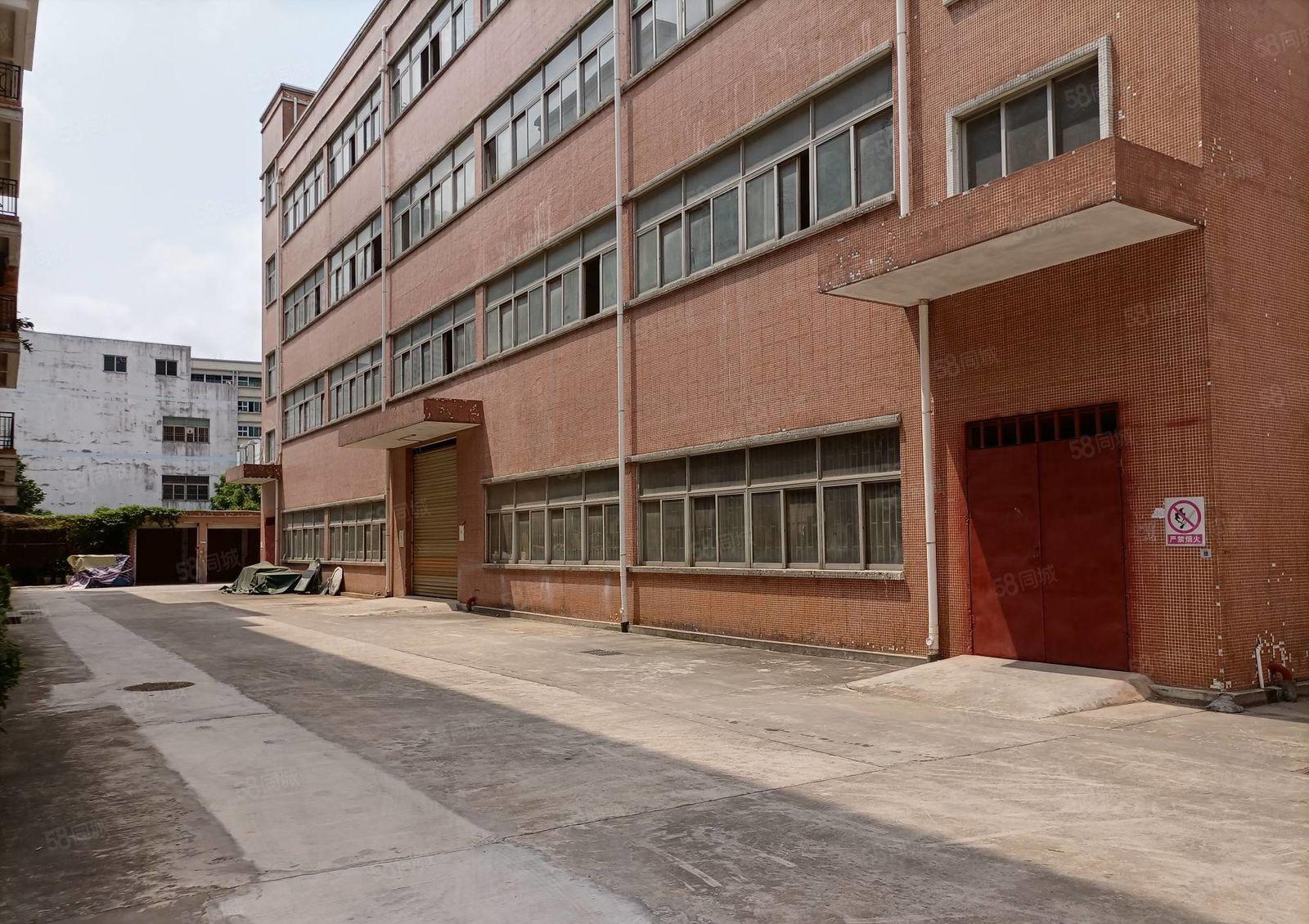 石岩新出1000平至5000平一二楼厂房仓库出租独院大小分租