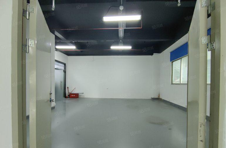 西乡全新厂房仓库出租！60平120平260平365平500平