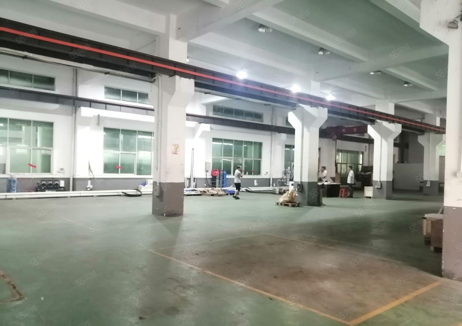 松岗107国道附近原房东红本两层楼独院厂房3200平方