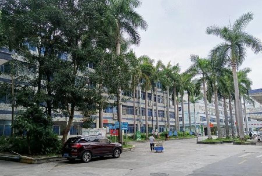 空地超大石岩新空出原房东园区厂房一楼380平出租形象好