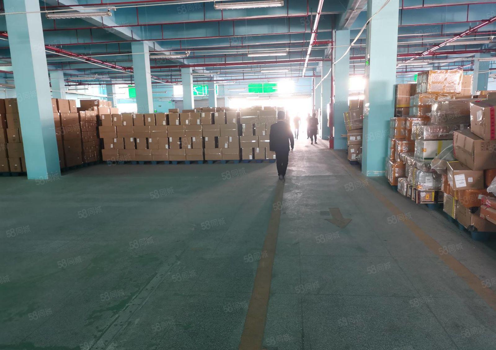 福永塘尾300至1500平一楼精装修低价厂房仓库出租，空地大