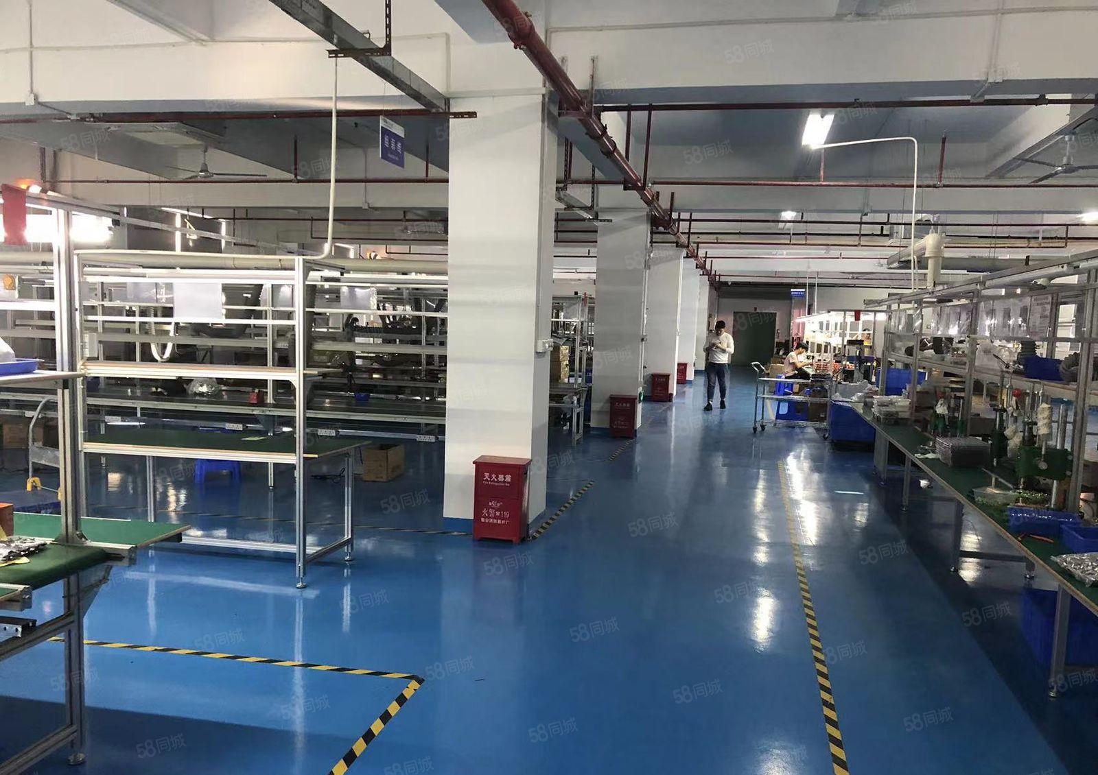 宝安新安整层1600平方厂房出租