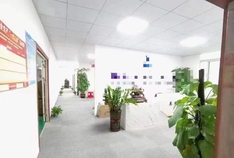 福永800平方平方厂房出租现成装修水电到位使用率高