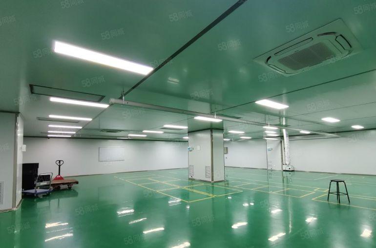 沙井大王山楼上一整层2400平无尘车间