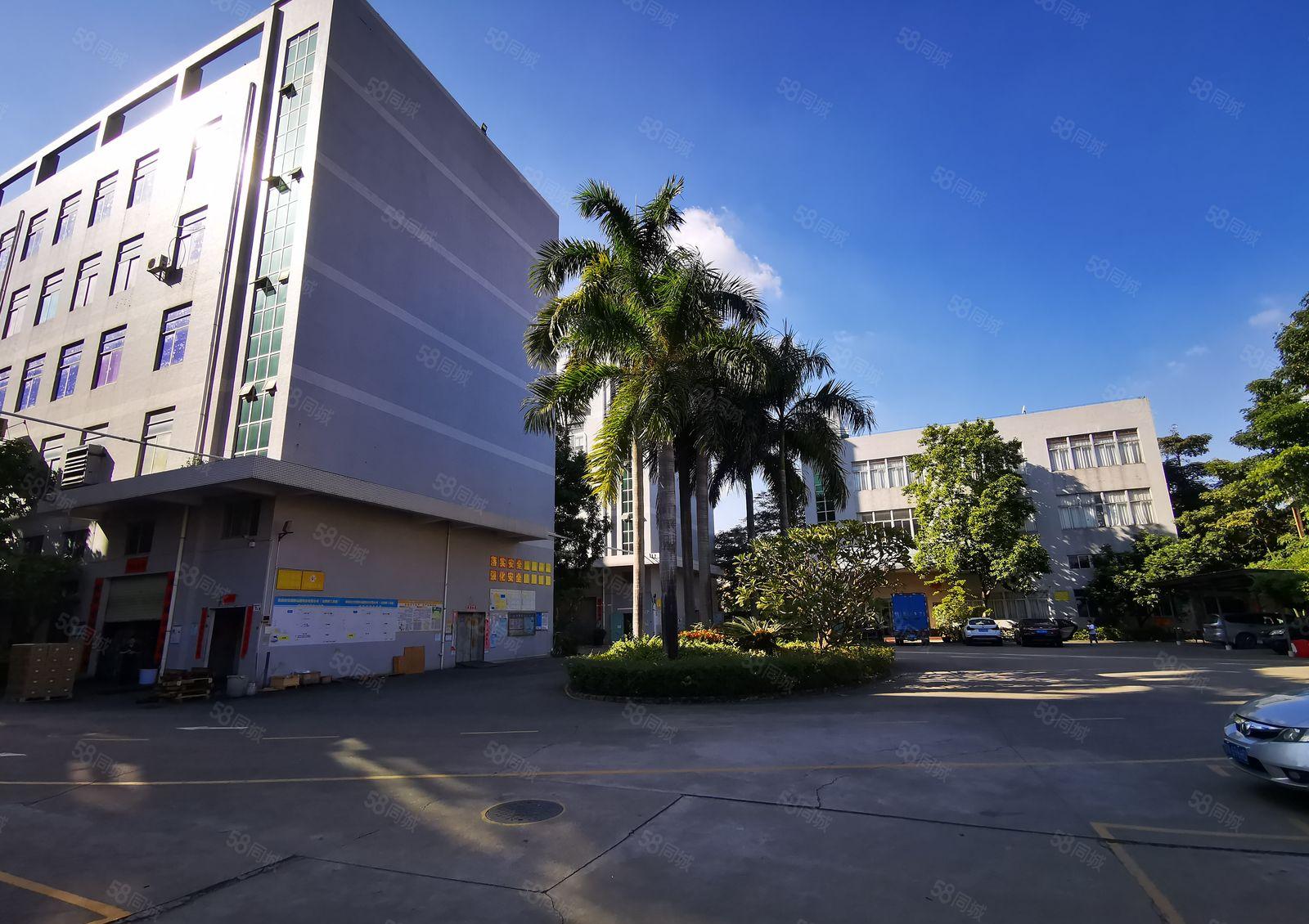 松岗中心区大型工业园独栋6000平厂房仓库出租，无公摊可分租