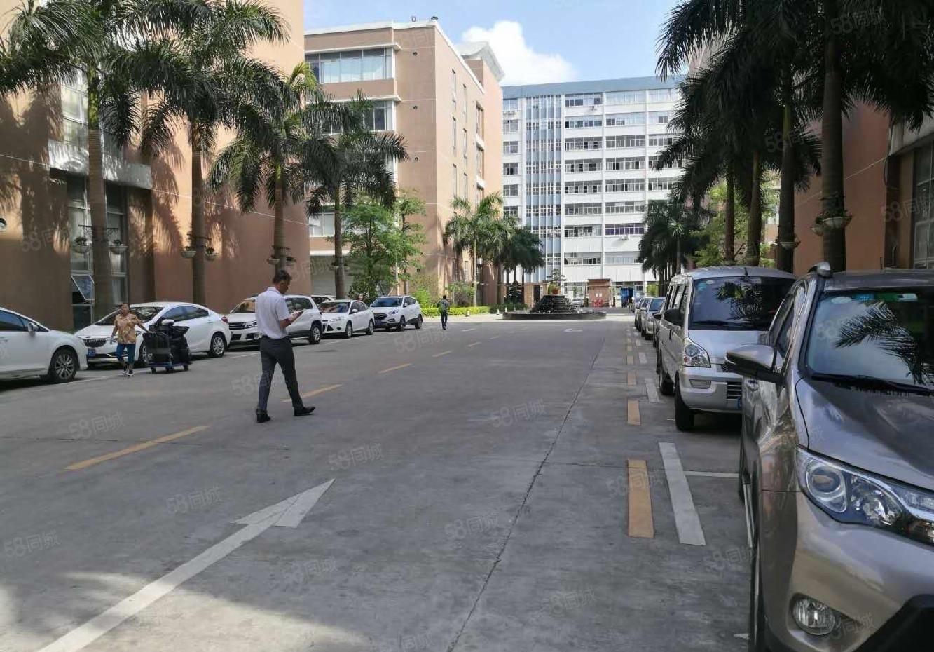 松岗高新园200平至整层3200平办公室一楼仓库厂房出租