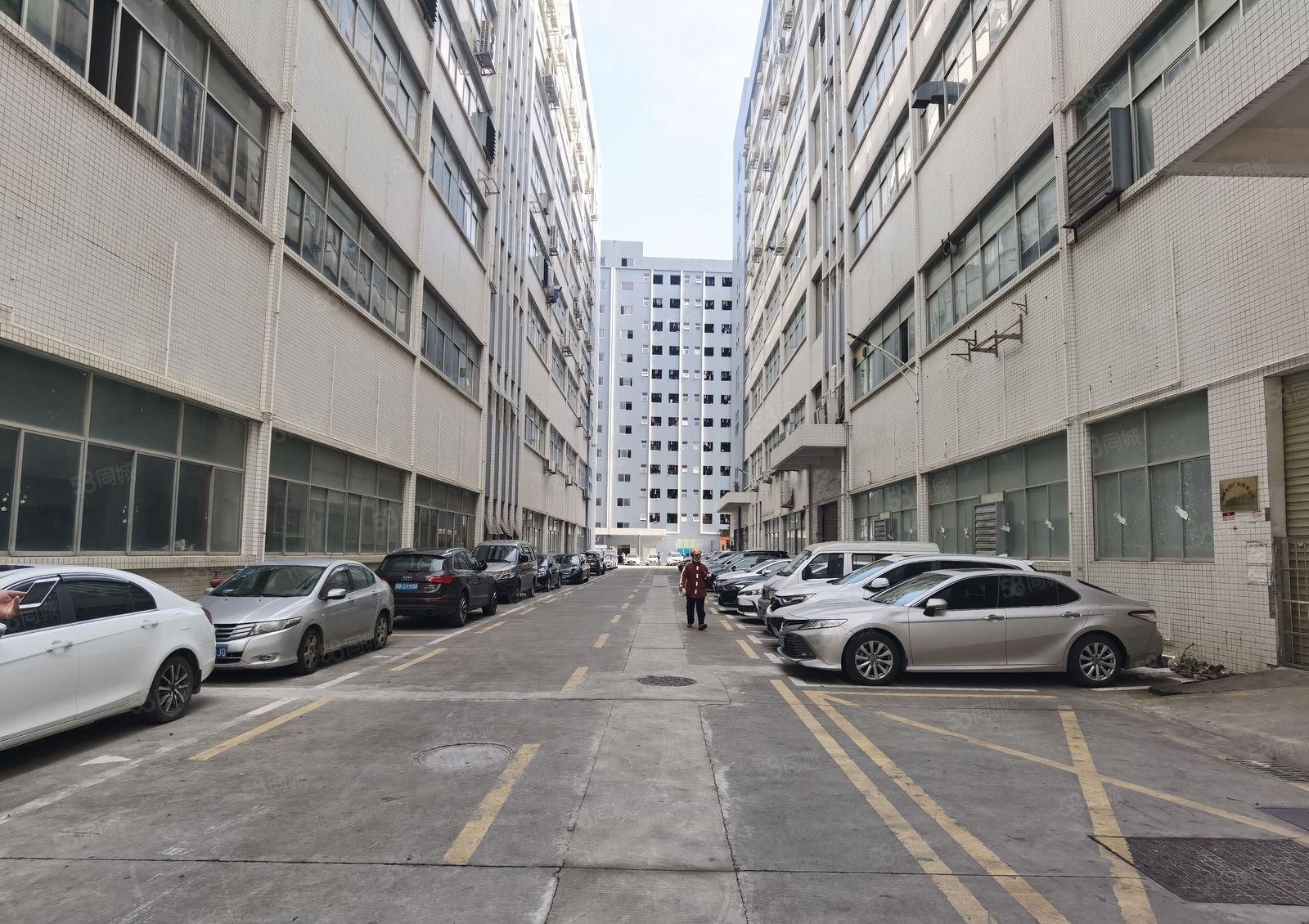 石岩北环大道新出带消防喷淋整层1613平