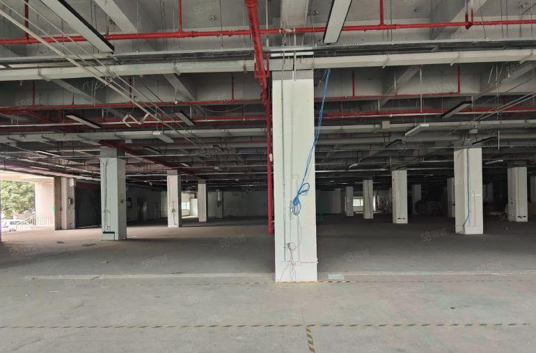 优越地段临国道38元每平9成使用率一楼3千平可分租