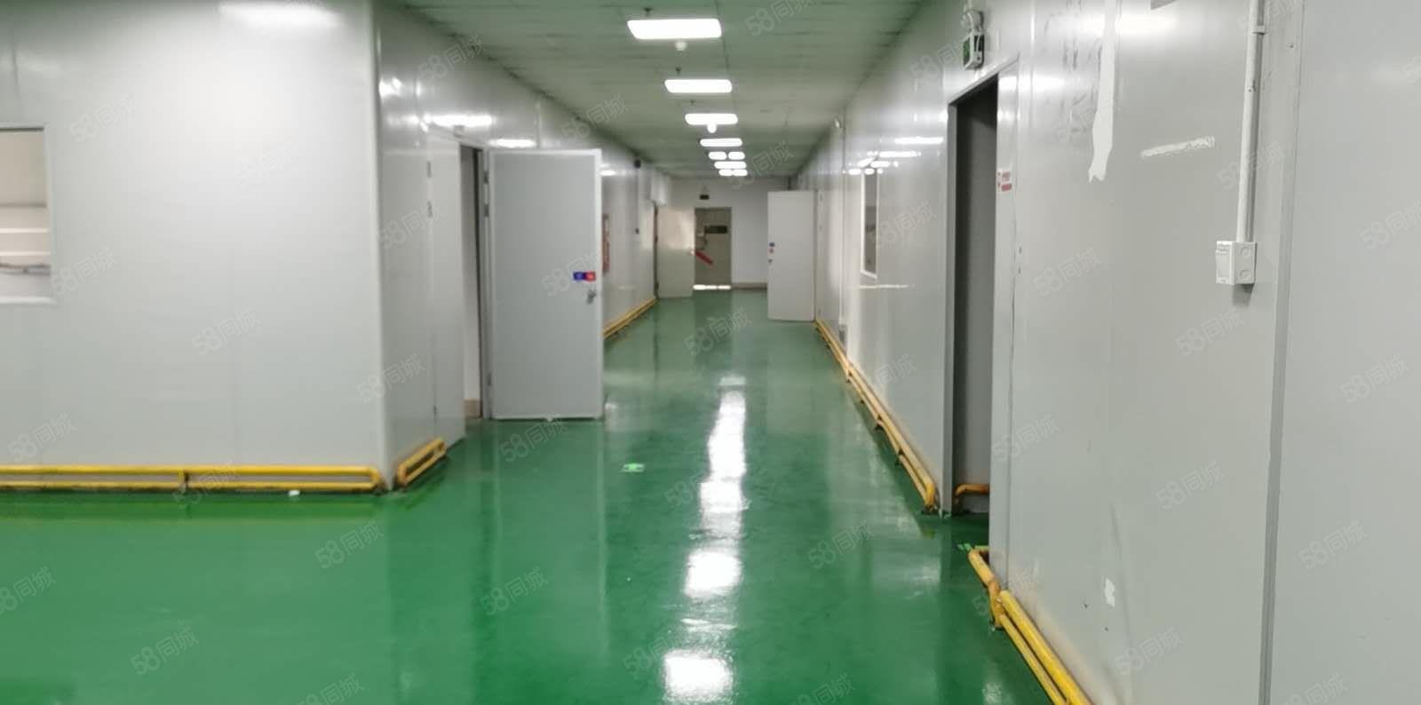 石岩高新产业园新出2000平带办公室精装修，无尘车间厂房出租