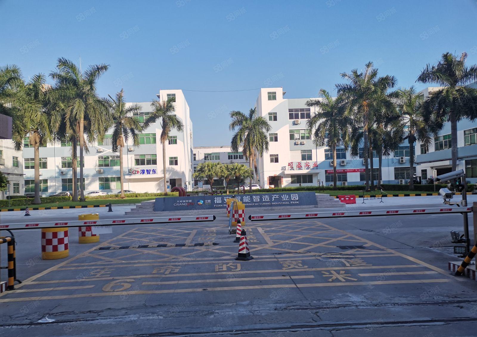 福永桥头新出20元楼上800平豪华装修无转让费