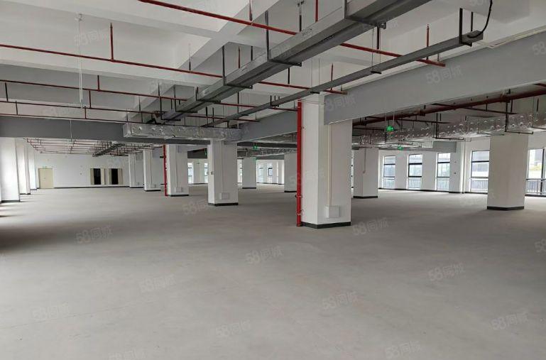 1000平起租宝安区松岗满京华工业上楼厂房出租15万平带补贴