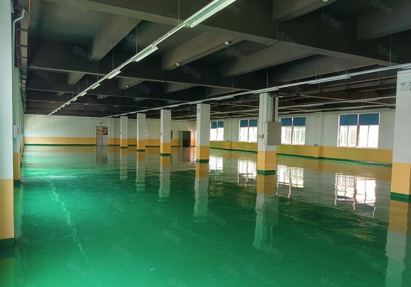 100平起分石岩原房东低价园区厂房一楼1000平出租形象好