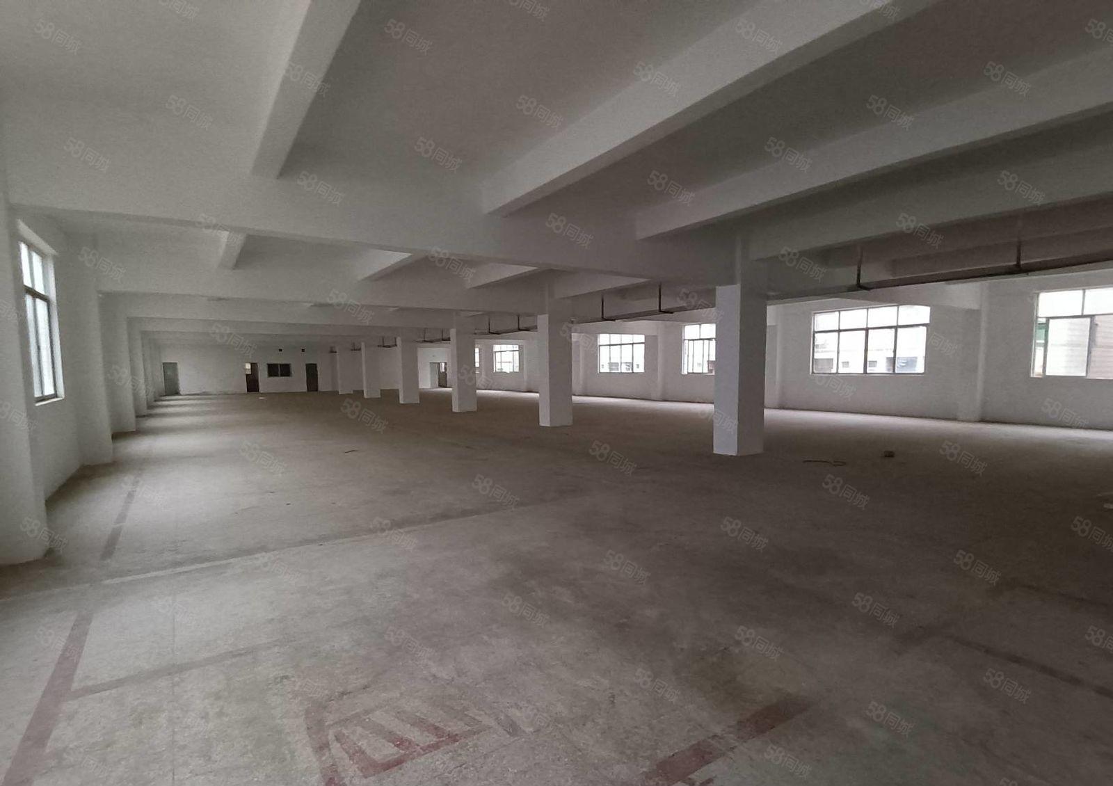 200平起分松岗原房东低价园区厂房一楼1500平出租形象好