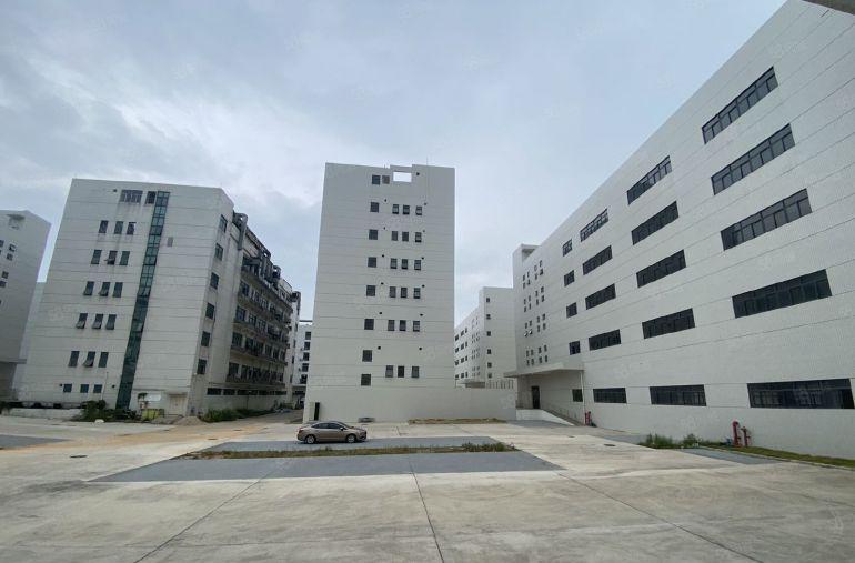 松岗原房东红本独院带卸货平台，共7栋55000平，3吨大货梯