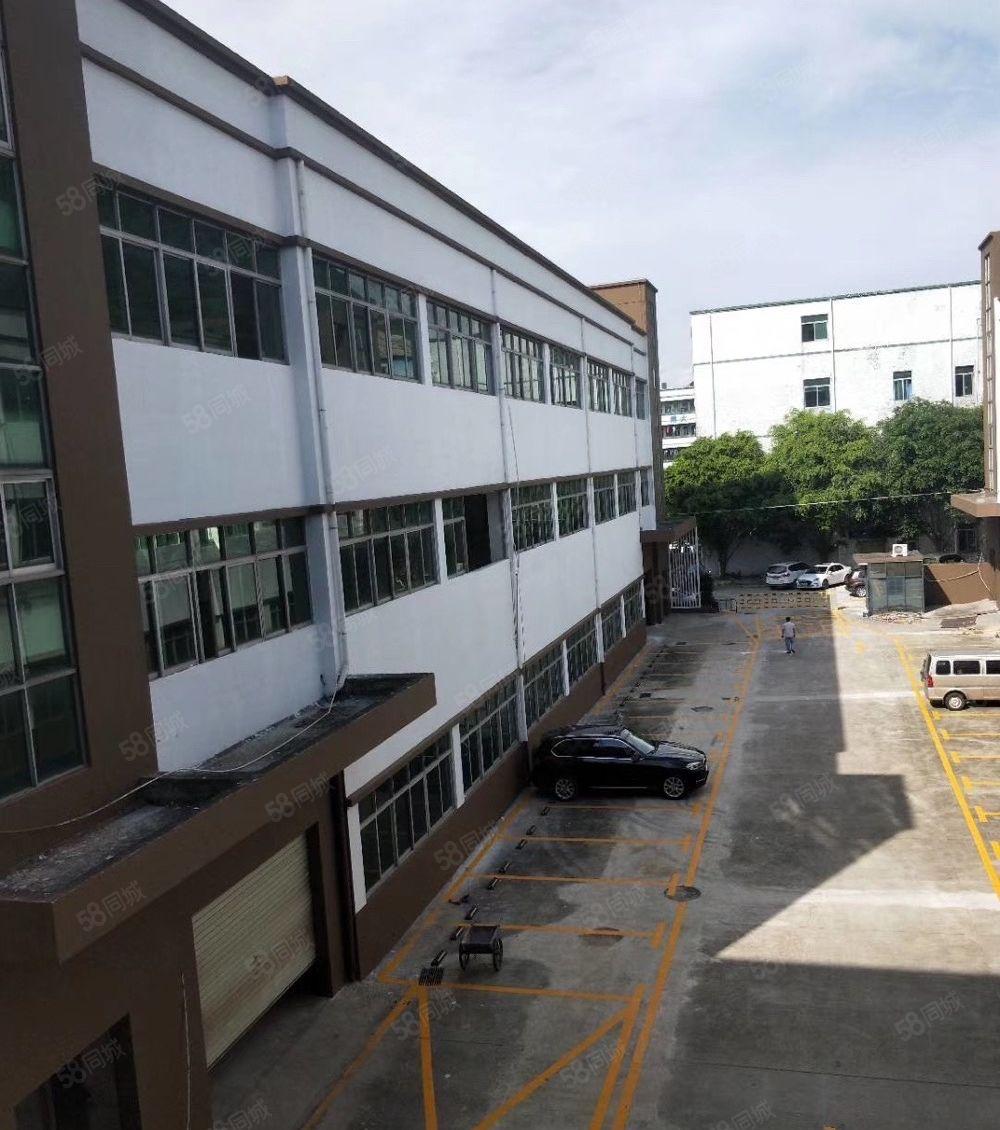 松岗大田洋新出原房东独门独院5000平方厂房招租