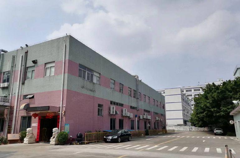 低价沙井大王山一楼900平厂房园区空地大使用率高