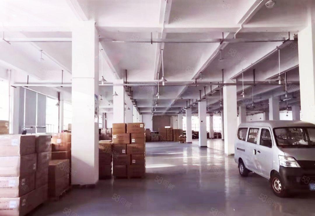 龙华一楼原房东4000平，可做物流仓储，适合多行业