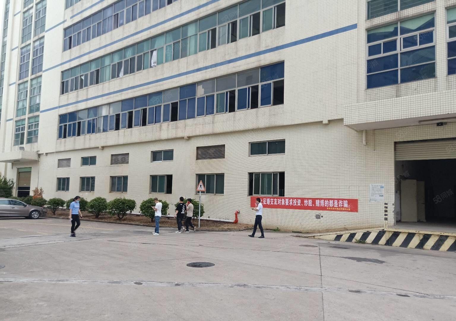 沙井新出1000平至5000平一二楼厂房仓库出租独院大小分租