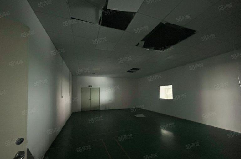 新安600平厂房出租仓库出租可分租低价出租实际面积无公摊