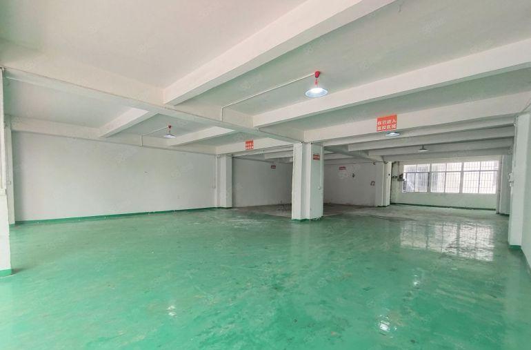 西乡，鹤洲大型工业园，一楼带装修600平厂房仓库出租，电到位