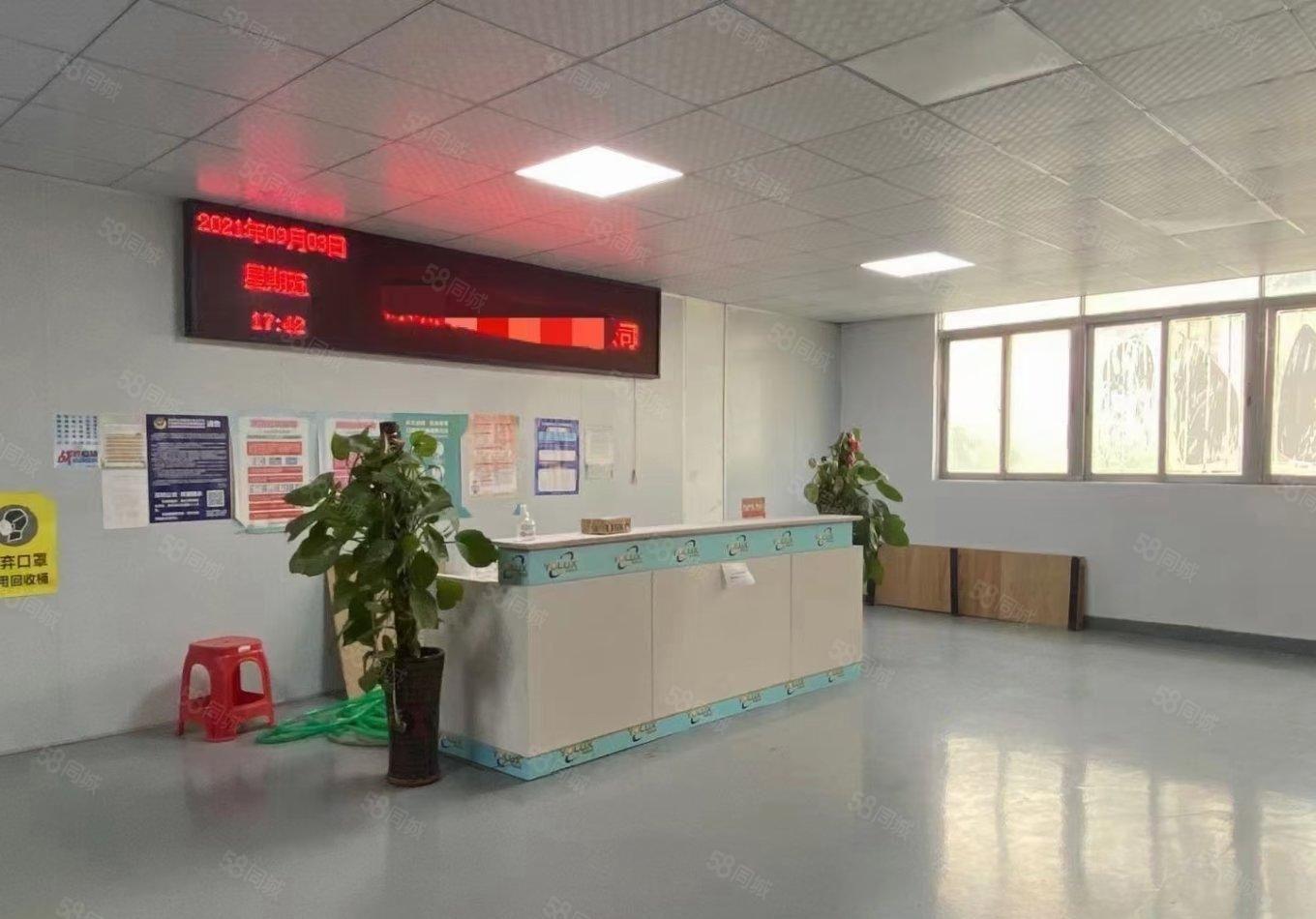 沙井原房东大型工业园厂房1500平精装修办公室