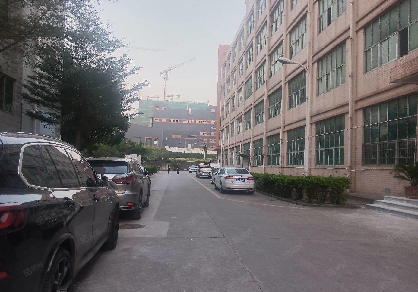 沙井地铁口工业园新出厂房楼上1000平方现有装修办公室前台